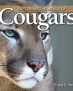 Exploring the World of Cougars