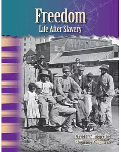 Freedom, Life After Slavery