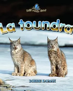 La Toundra / Tundra Food Chains