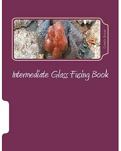 Intermediate Glass Fusing Book
