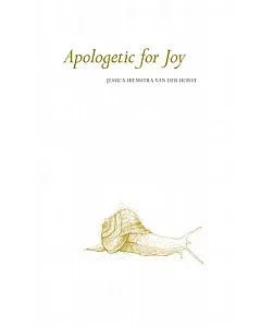 Apologetic for Joy