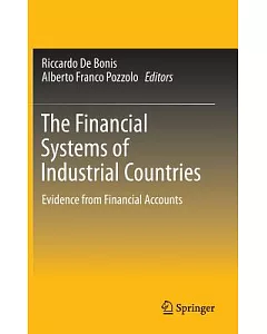 The Financial Systems of Industrial Countries: Evidence from Financial Accounts