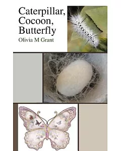 Caterpillar, Cocoon, Butterfly
