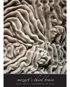 Mozart’s Third Brain