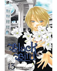 Black Bird 13