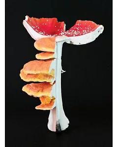 carsten Holler: Triple Mushrooms, 2011