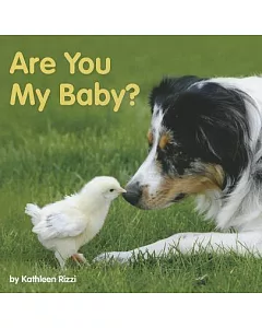 Are You My Baby?