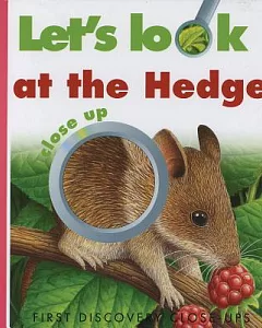 Let’s Look at the Hedge