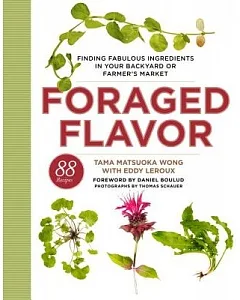 Foraged Flavor: Finding Fabulous Ingredients in Your Backyard or Farmer’s Market