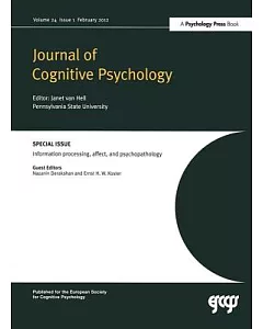 Information Processing, Affect, and Psychopathology