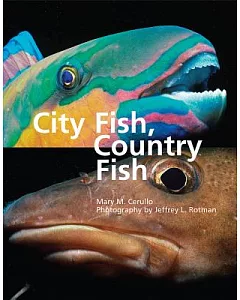 City Fish, Country Fish