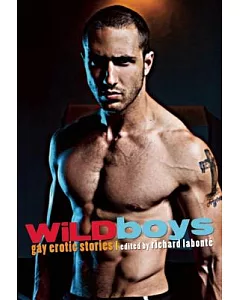 Wild Boys: Gay Erotic Fiction