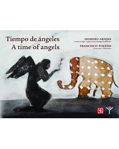 Tiempo de Angeles/ A Time of Angels