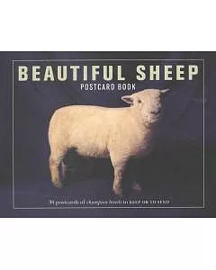 Beautiful Sheep Postcard Book (Beautiful... Postcard Books)
