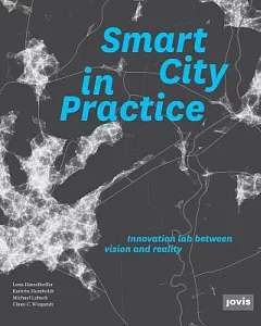 Smart City in Practice: Converting Innovation Ideas Into Reality: Evaluation of the T-City Friedrichshafen