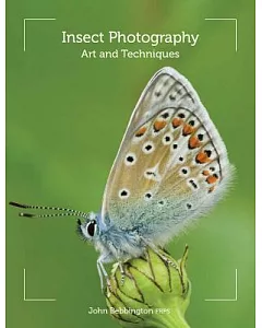 Insect Photography: Art and Techniques