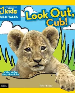 Look Out, Cub!: A Lift-the-Flap Story About Lions