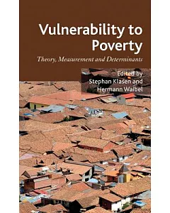 Vulnerability to Poverty: Theory, Measurement and Determinants, with Case Studies from Thailand and Vietnam