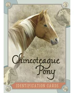 Chincoteague Pony Identification Cards