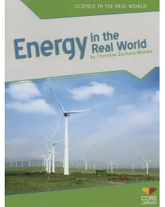 Energy in the Real World