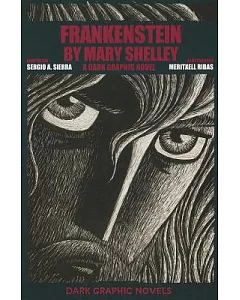 Frankenstein by Mary Shelley: A Dark Graphic Novel