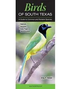Birds of South Texas Including the Lower Rio Grande Valley: A Guide to Common and Notable Species