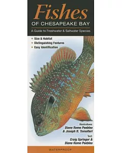 Fishes of the Chesapeake Bay: A Guide to Freshwater and Saltwater Species