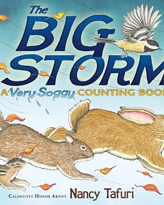 The Big Storm: A Very Soggy Counting Book