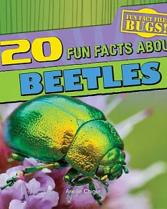 20 Fun Facts About Beetles