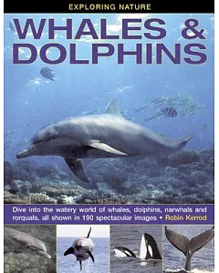 Whales & Dolphins: Dive into the Watery World of Whales, Dolphins, Narwhals and Rorquals, All Shown in 190 Spectacular Images
