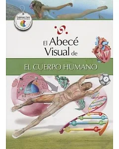 El abece visual de el cuerpo humano / The Illustrated Basics of the Human Body