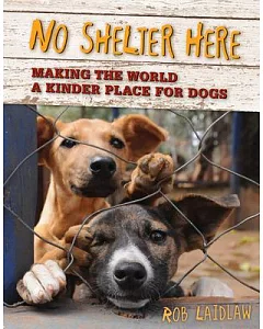 No Shelter Here: Making the World a Kinder Place for Dogs