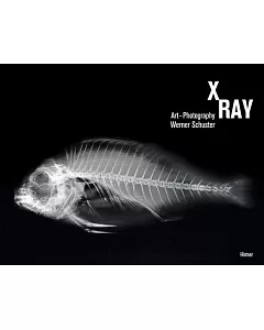 X-ray: Art-photography