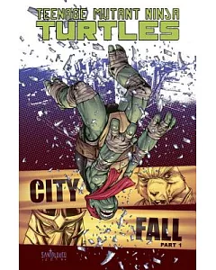 Teenage Mutant Ninja Turtles 6: City Fall