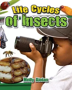 Life Cycles of Insects