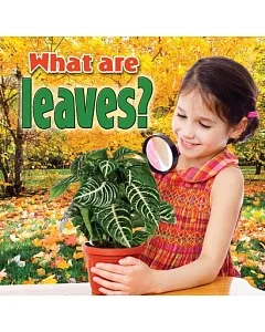 What Are Leaves?