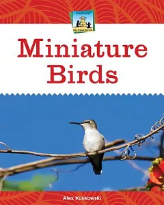 Miniature Birds