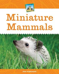 Miniature Mammals
