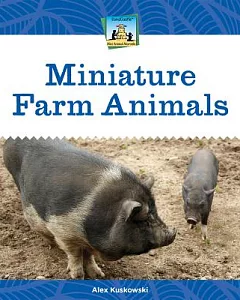 Miniature Farm Animals