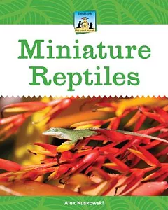 Miniature Reptiles
