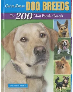 Get to Know Dog Breeds: The 200 Most Popular Breeds