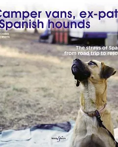 Camper Vans, Ex-Pats & Spanish Hounds: The Strays of Spain: From Road Trip to Rescue