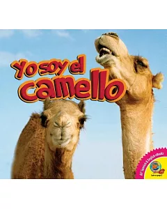 Yo soy el camello / Camel