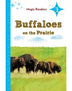 Buffaloes on the Prairie
