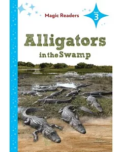 Alligators in the Swamp