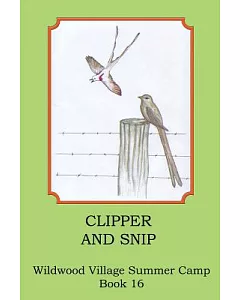 Clipper and Snip