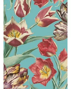 Royal Horticultural Society Tulips Boxed Notecards