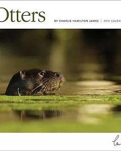 Otters 2015 Calendar