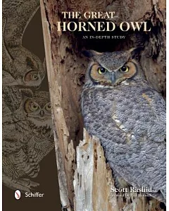The Great Horned Owl: An In-Depth Study