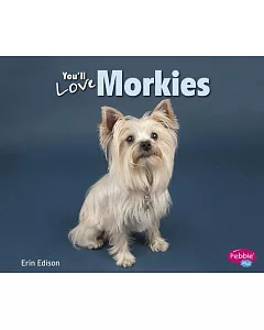 You’ll Love Morkies